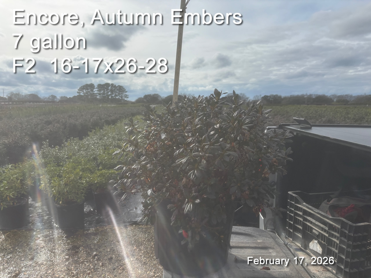 gallery/eemb7 f2 feb17.jpg